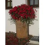 Oberschernthann App 1 Дом отдыха