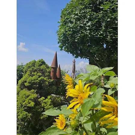 Oberschernthann App 1 Сasa de vacaciones Salvenberg