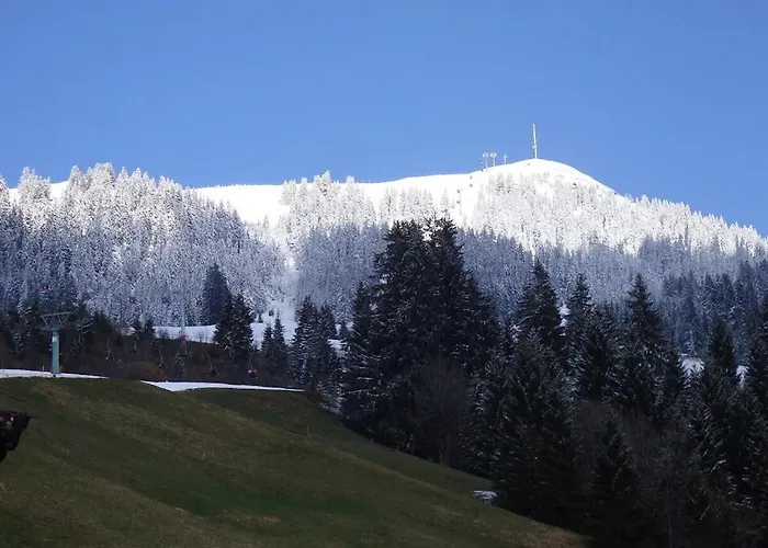 Oberschernthann App 1 * Salvenberg