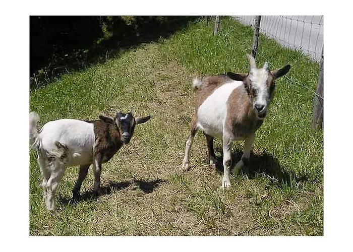 Feriehus Oberschernthann App 1